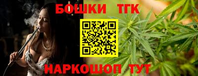 индика Усть-Джегута