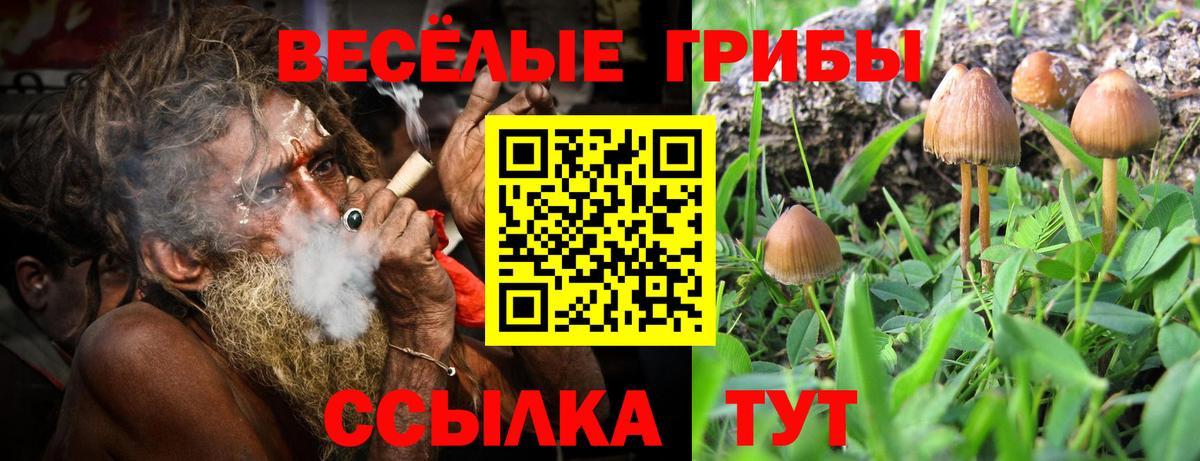 Галлюциногенные грибы Cubensis  Вход с VPN  Асбест 